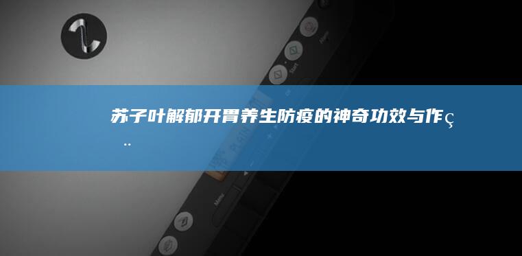 苏子叶：解郁开胃、养生防疫的神奇功效与作用